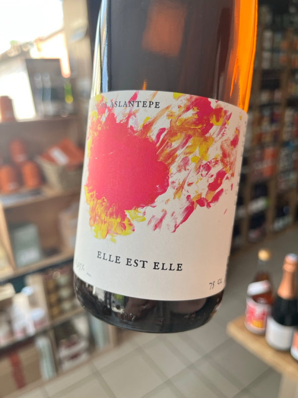 Elle est Elle 2025 - Aslantepe (face)