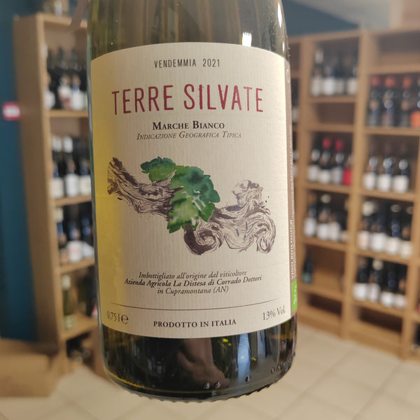 Bouteille de Terre Silvate 2024 – La Distesa, IGT Marche Bianco