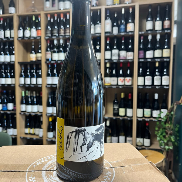 Bouteille de Chablis Vent d'Ange 2020 – Domaine Pattes Loup, AOC Chablis