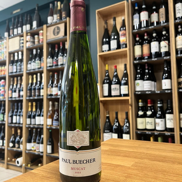 Bouteille Vin Muscat Sec Expression 2022, AOC Alsace