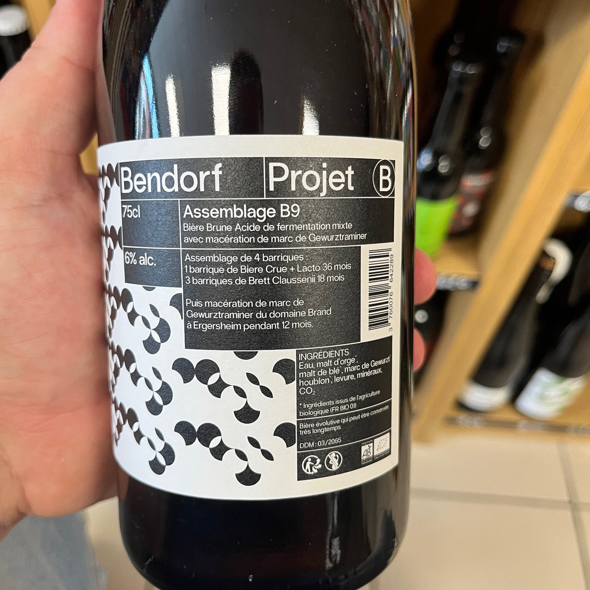 Projet B - B9 Brune - Bendorf