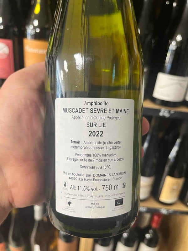 Bouteille Vin blanc Amphibolite 2022
