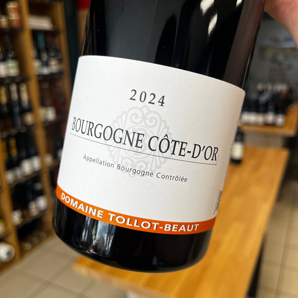 Bouteille de Bourgogne Côte d'Or rouge 2024, Domaine Tollot-Beaut
