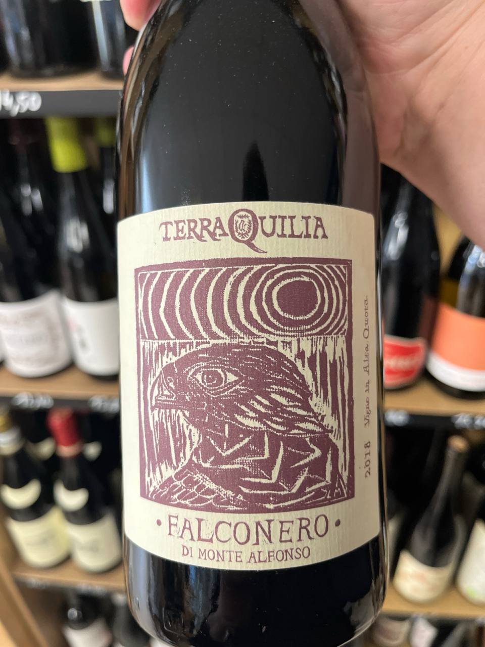 Bouteille de Vin Pétillant Falconero di Monte Alfonso 2018