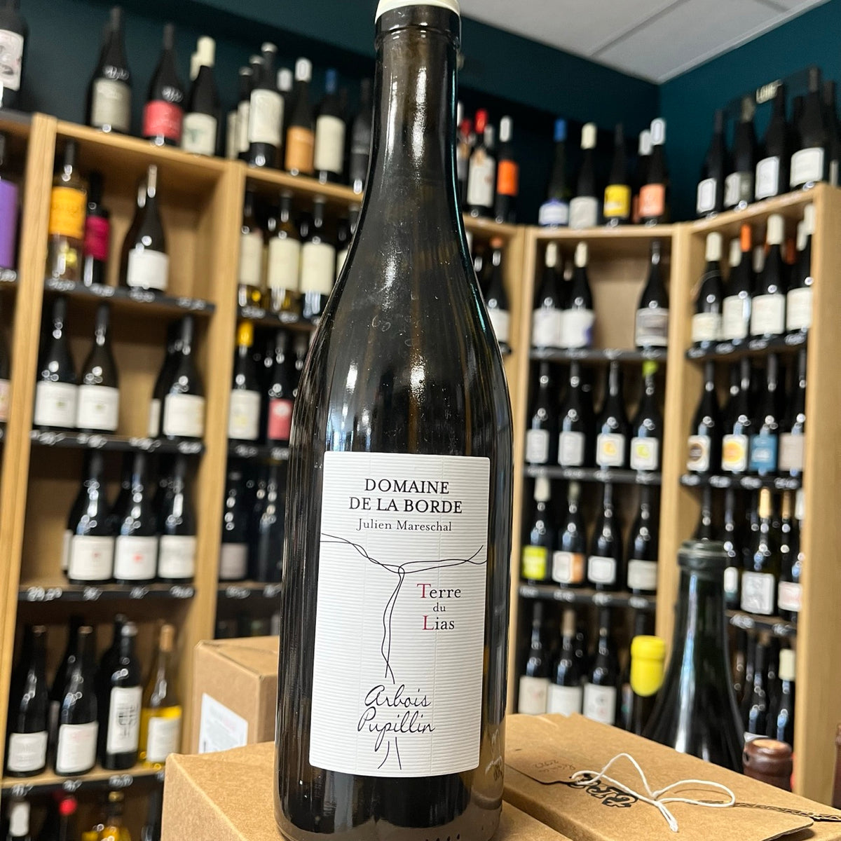 Bouteille Vin Arbois Pupillin Terre du Lias Chardonnay 2023, Chablis