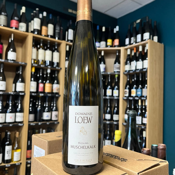 Bouteille de Riesling Muschelkalk 2023 – Domaine Loew, Alsace