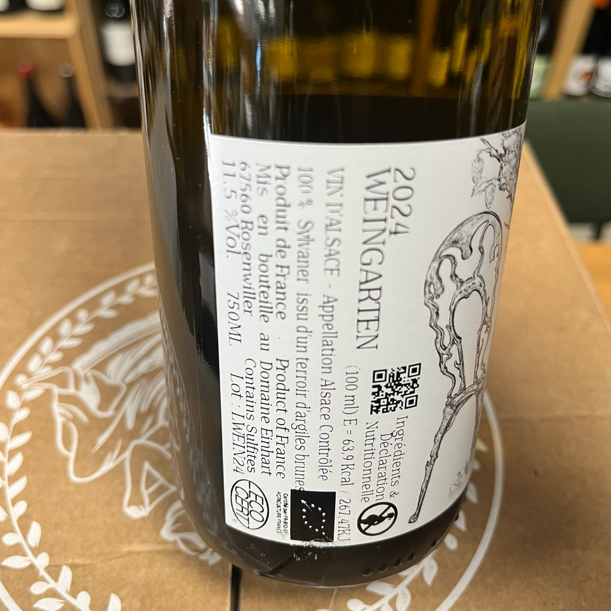 Bouteille Vin Alsace Sylvaner Weingarten 2024, AOC Alsace