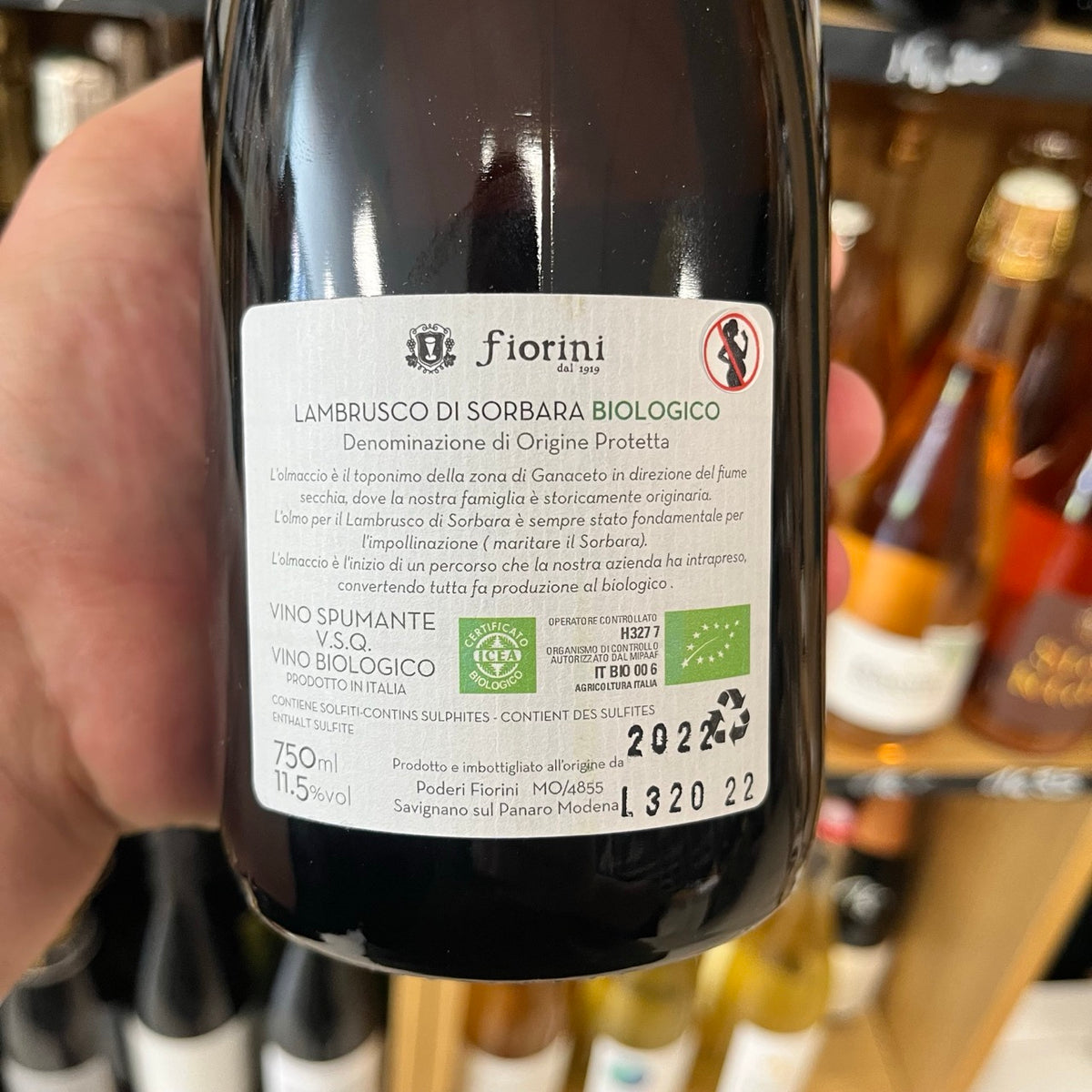 Pétillant naturel Lambrusco Di Sorbara - Olmaccio