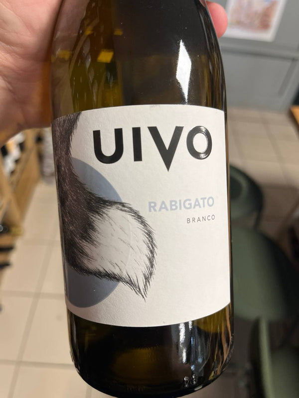 Bouteille d'Uivo Rabigato 2022 – Folias de Baco, Douro