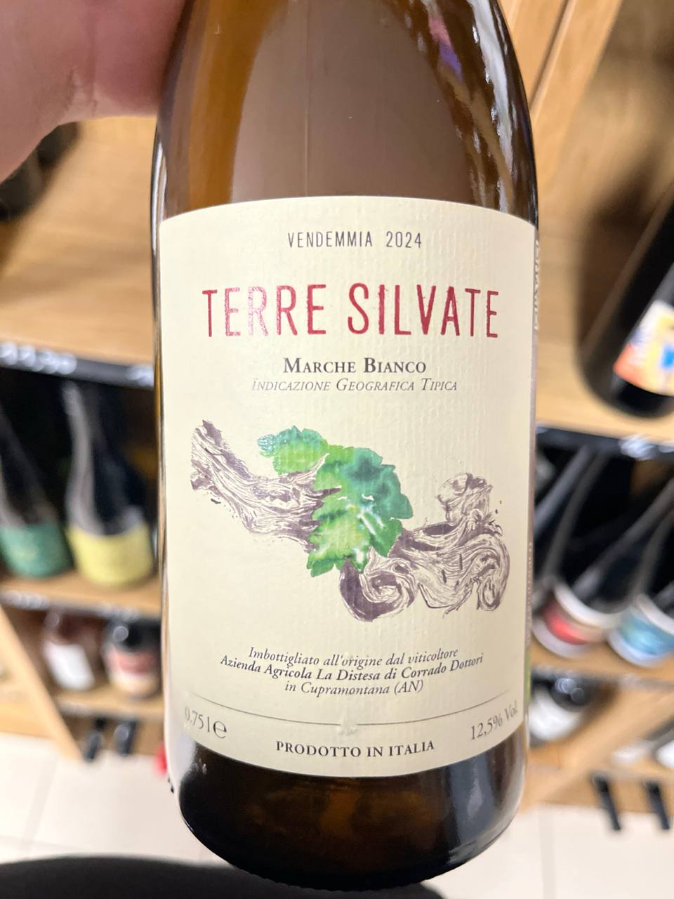 Bouteille de Terre Silvate 2024 – La Distesa, IGT Marche Bianco