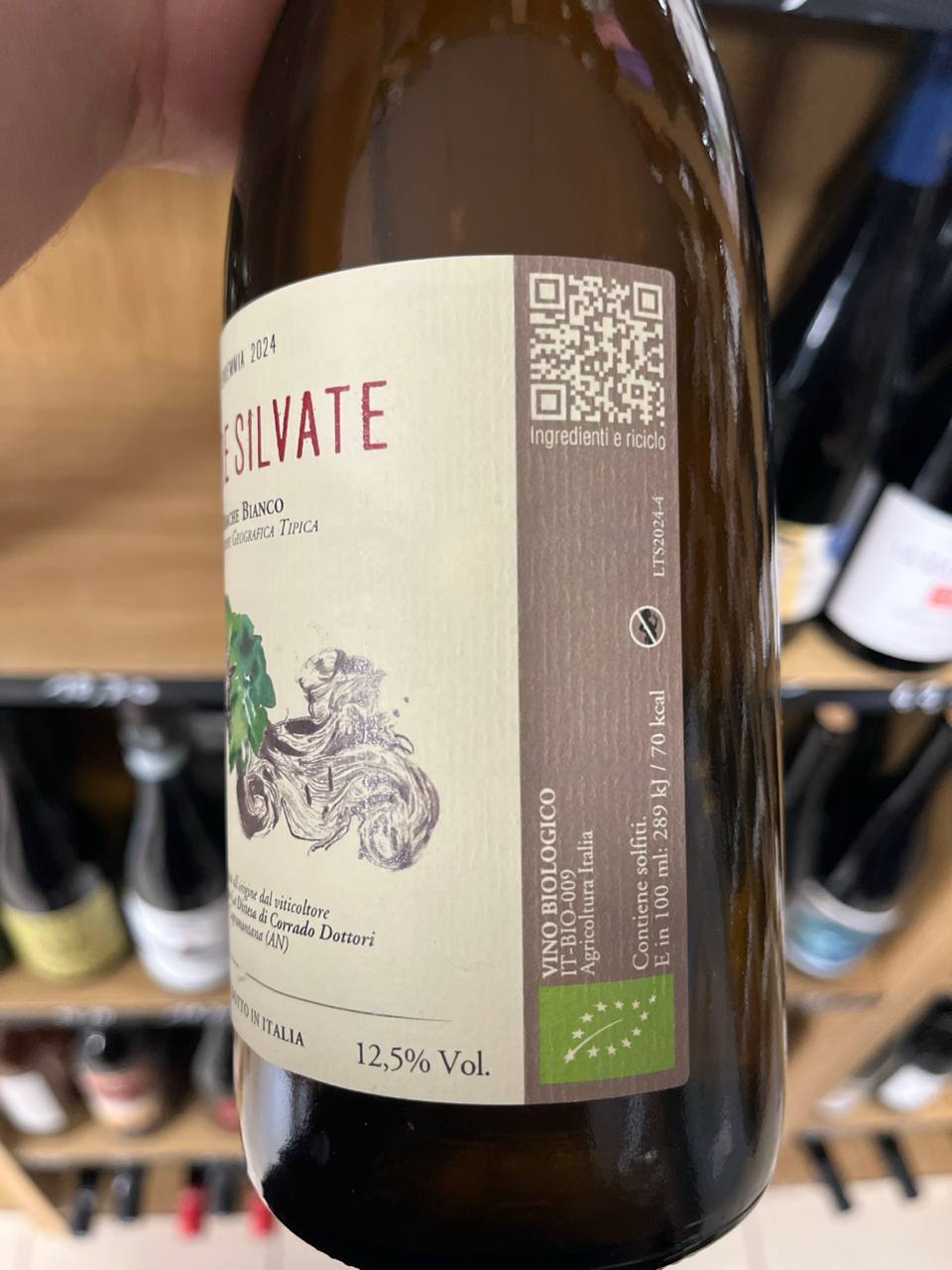 Bouteille de Terre Silvate 2024 – La Distesa, IGT Marche Bianco