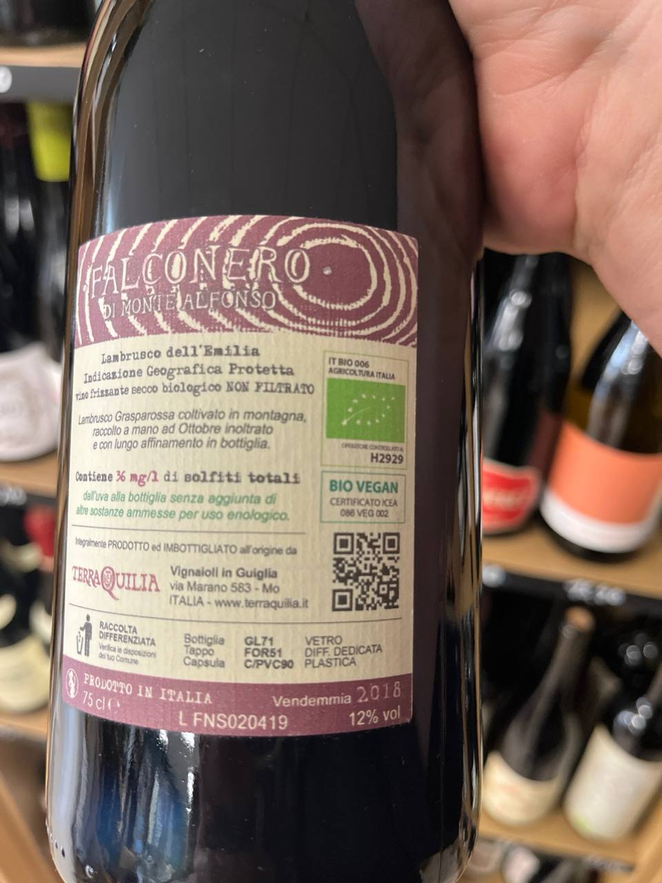 Bouteille de Vin Pétillant Falconero di Monte Alfonso 2018