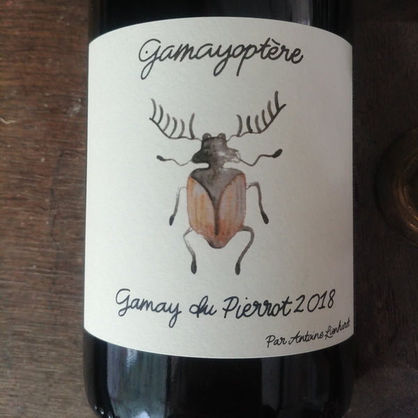 Bouteille Vin rouge Gamayoptère 2018, AOC Bourgogne — biodynamie