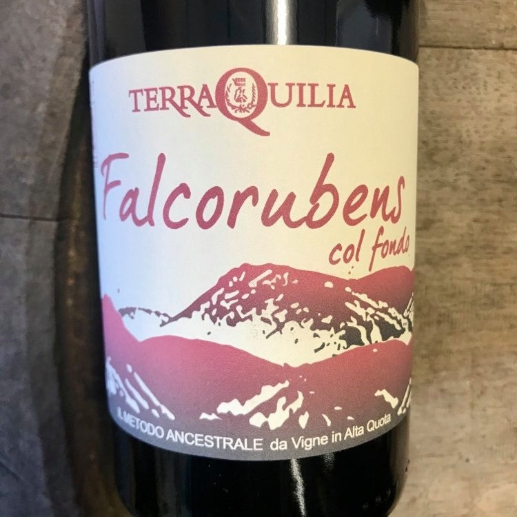 Bouteille de pétillant naturel Falcorubens Col Fundo 2019 2019, Vénétie, Italie — nature